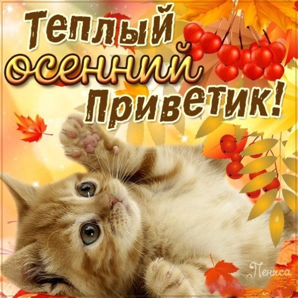 Открытки осенний приветик