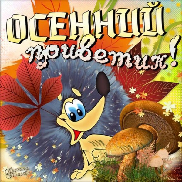 Открытки осенний приветик