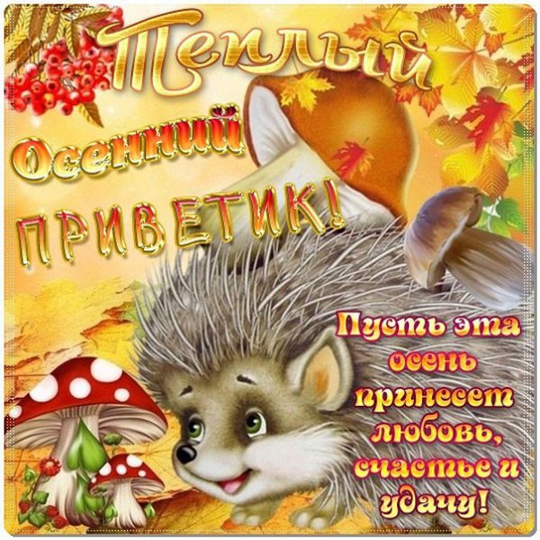 Осенний привет