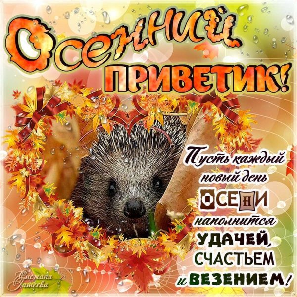 Открытки осенний привет