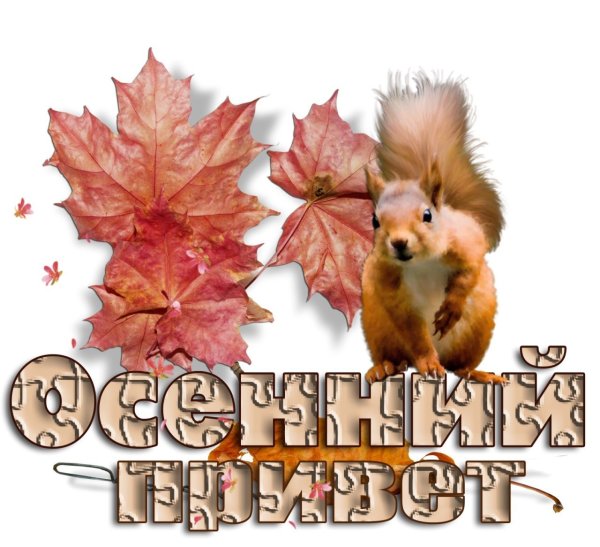 Открытки с добрым утром осенние