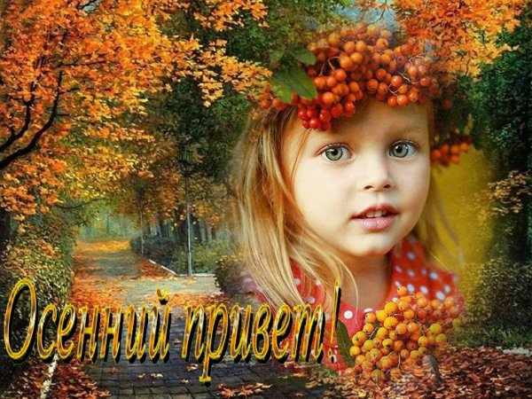 Хорошего осеннего настроения с собаками