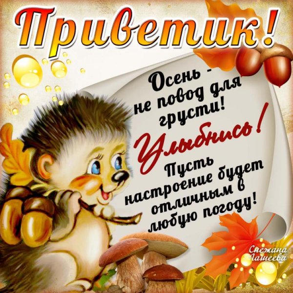 Открытки осенний приветик