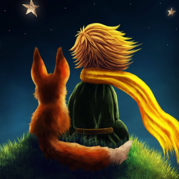 Маленький принц лиса