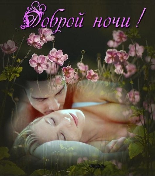 Спокойной ночи милая