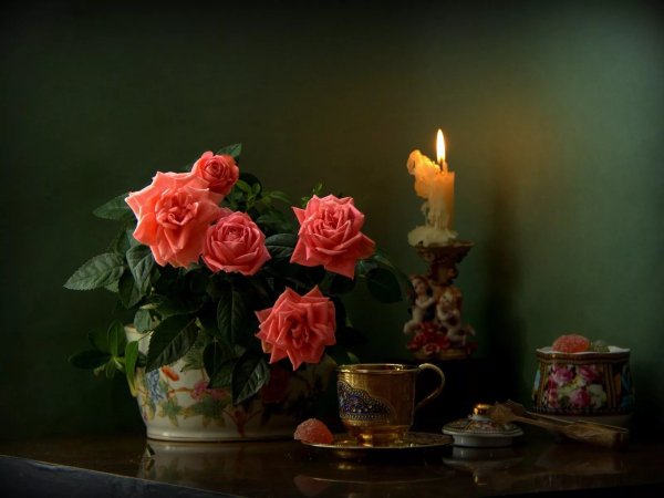 Прекрасного вечера и хорошего настроения