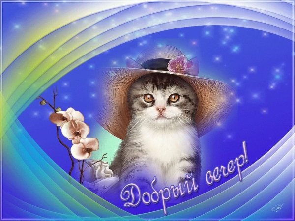 Открытки добрый вечер