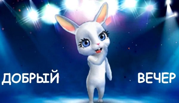Добрый вечер смешные открытки