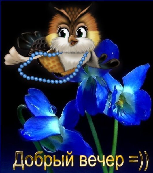 Открытки добрый вечер
