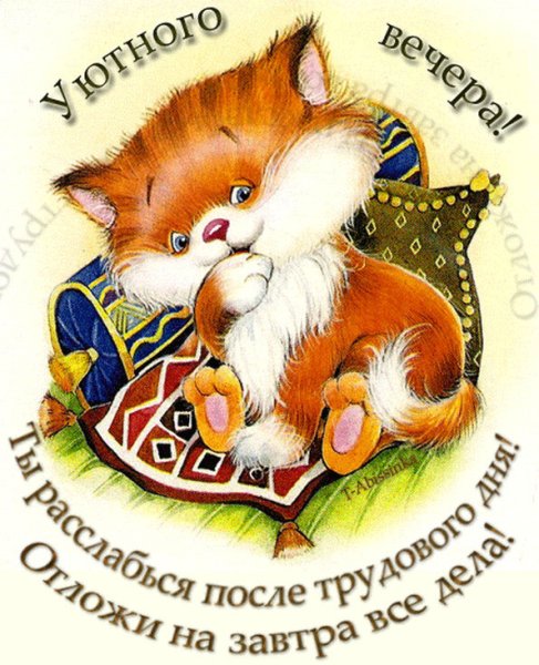 Прикольные пожелания доброго вечера