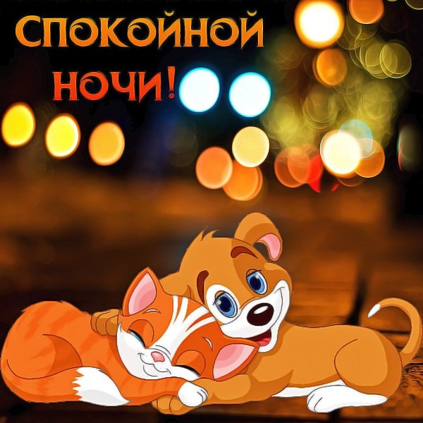 Открытки спокойной ночи прикольные