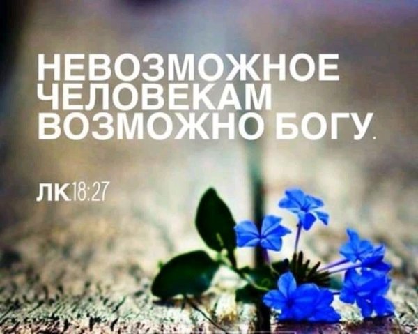 Стихи из Библии на каждый день