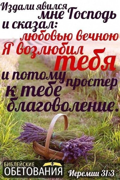 Стихи из Библии