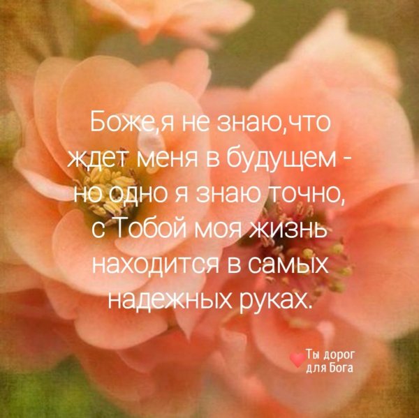 Стихи из Библии