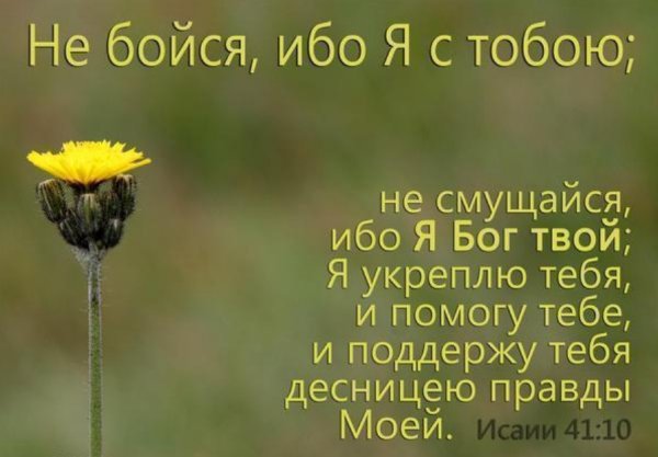 Слова поддержки из Библии