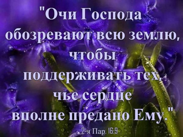 Христианские высказывания мудрости из Библии