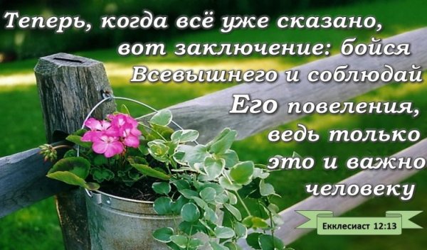 Стихи из Библии