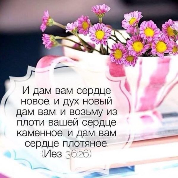 Цитаты из Библии