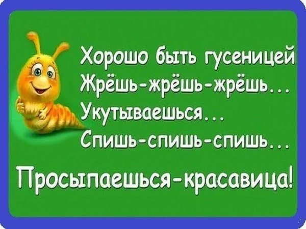 Позитивные афоризмы