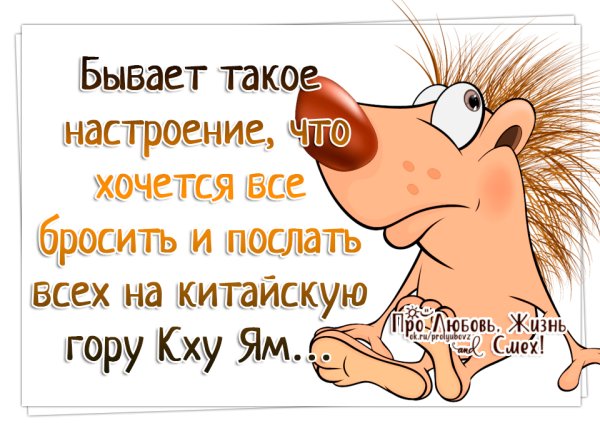 Позитивные статусы для поднятия настроения в картинках