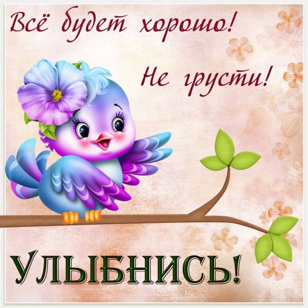 Позитивные высказывания