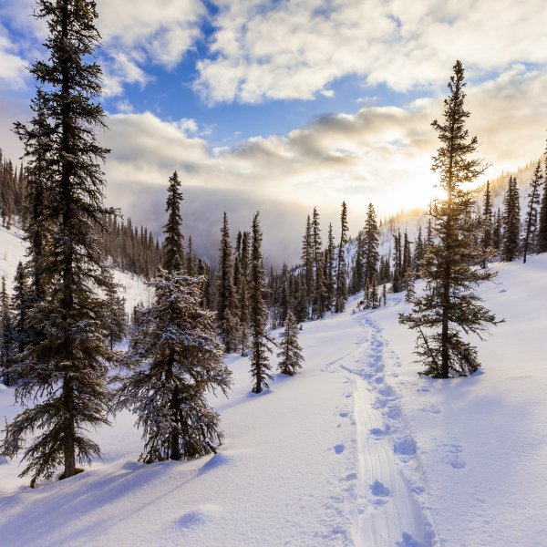 Доброго зимнего четверга