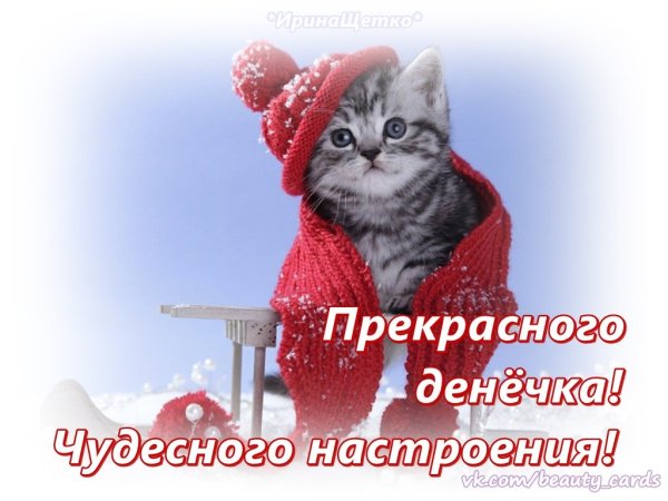 Пожелания с добрым зимним утром