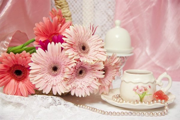 Цветы герберы с добрым утром