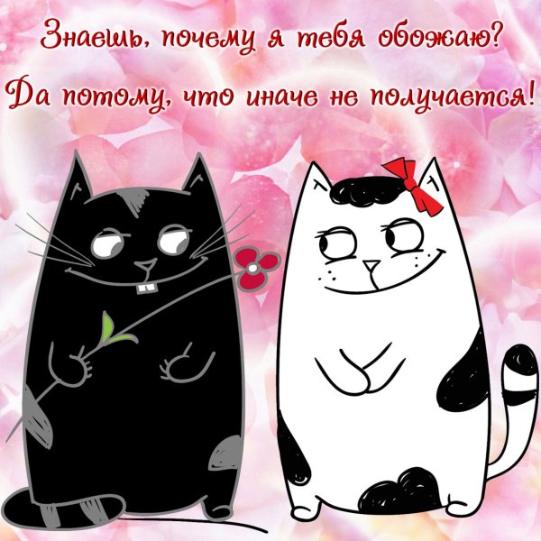 Люблю тебя котик