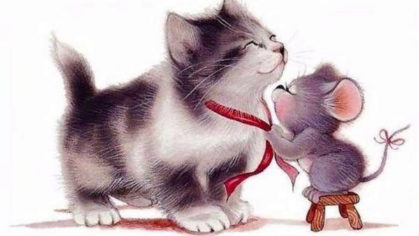Кот и мышка