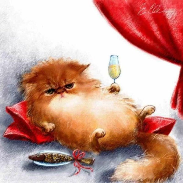 Котик поздравляет с днем рождения