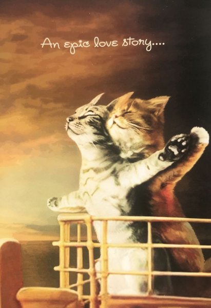 Коты как в Титанике