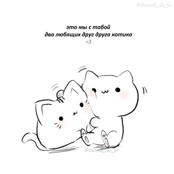 Ты котик