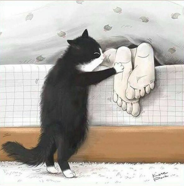 С добрым утром котики