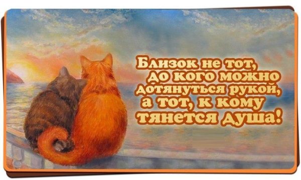 Дорогой и близкий человек