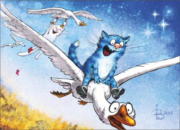 Коты Ирины Зенюк 2020