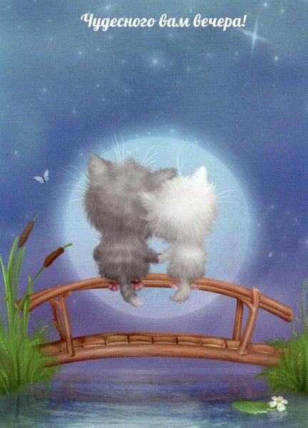 Художник Алексей Долотов в мире котов