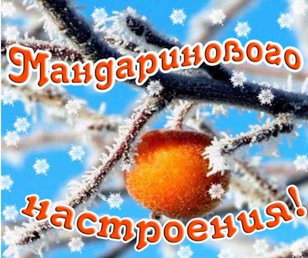 С добрым зимним утром понедельника