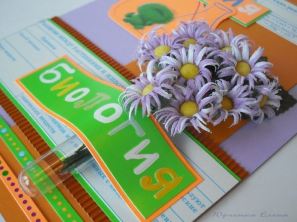 Грамота учителю биологии