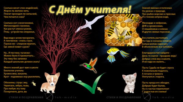 Открытка учителю информатики