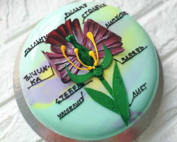 Открытка для учителя по истории