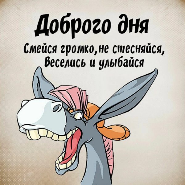 Смешные открытки