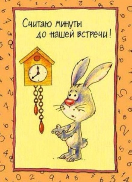 Смешные открытки