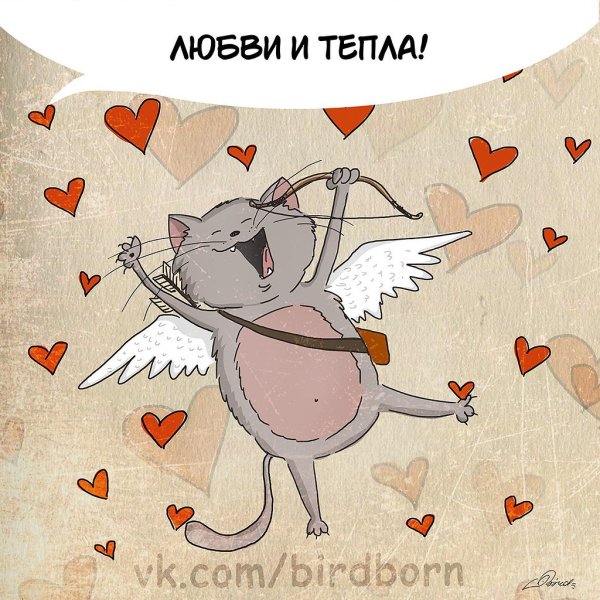 Красивые картинки с юмором