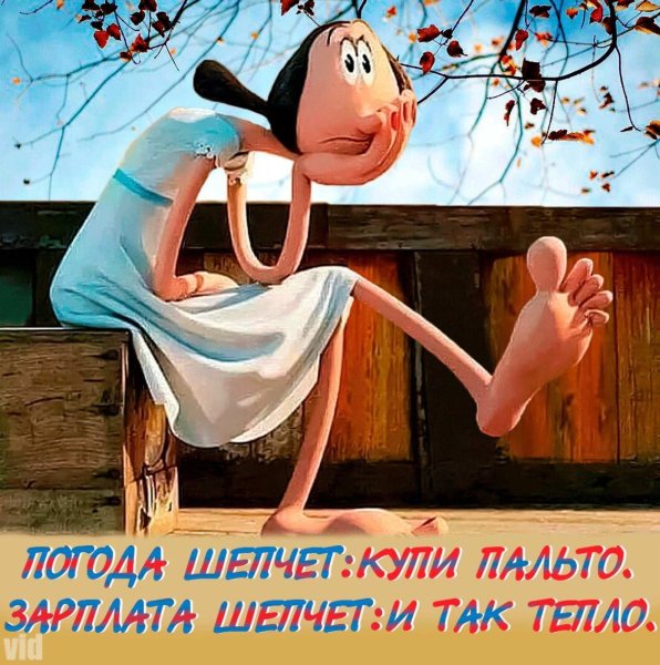 Смешные Стикеры