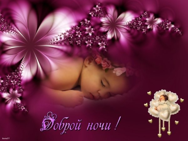 Спокойной ночи цветы