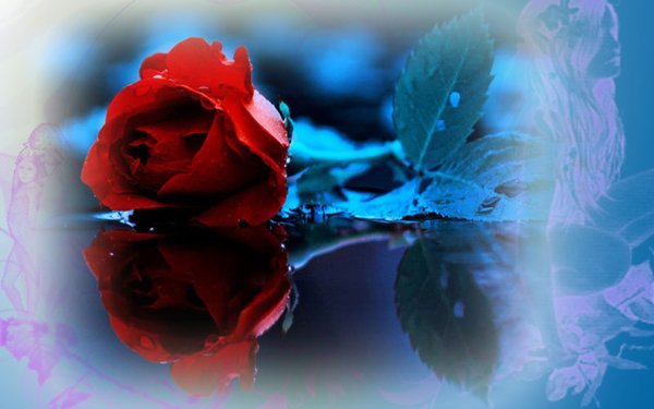 Спокойной ночи Мария