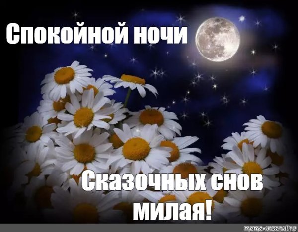 Спокойной ночи Тоня