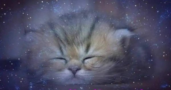 Спокойной ночи Наташа