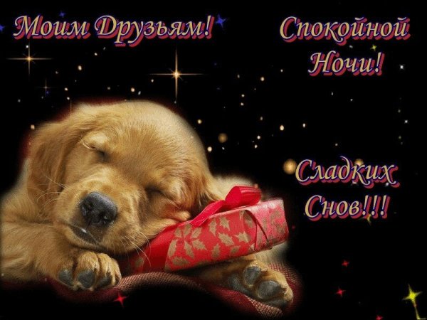 Приятных снов друзья